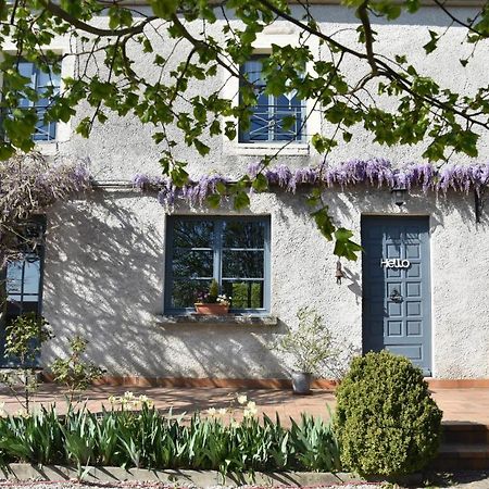 Le Tilleul De Ray Ray-sur-Saone Exterior photo